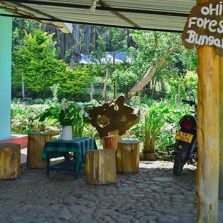 Ohiya Forest Lodge Dış mekan fotoğraf