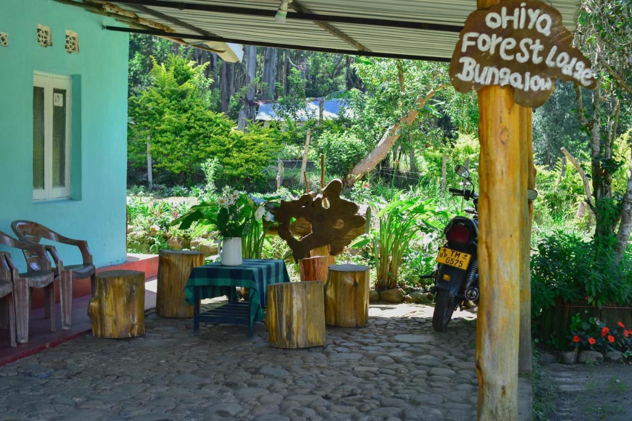 Ohiya Forest Lodge Dış mekan fotoğraf
