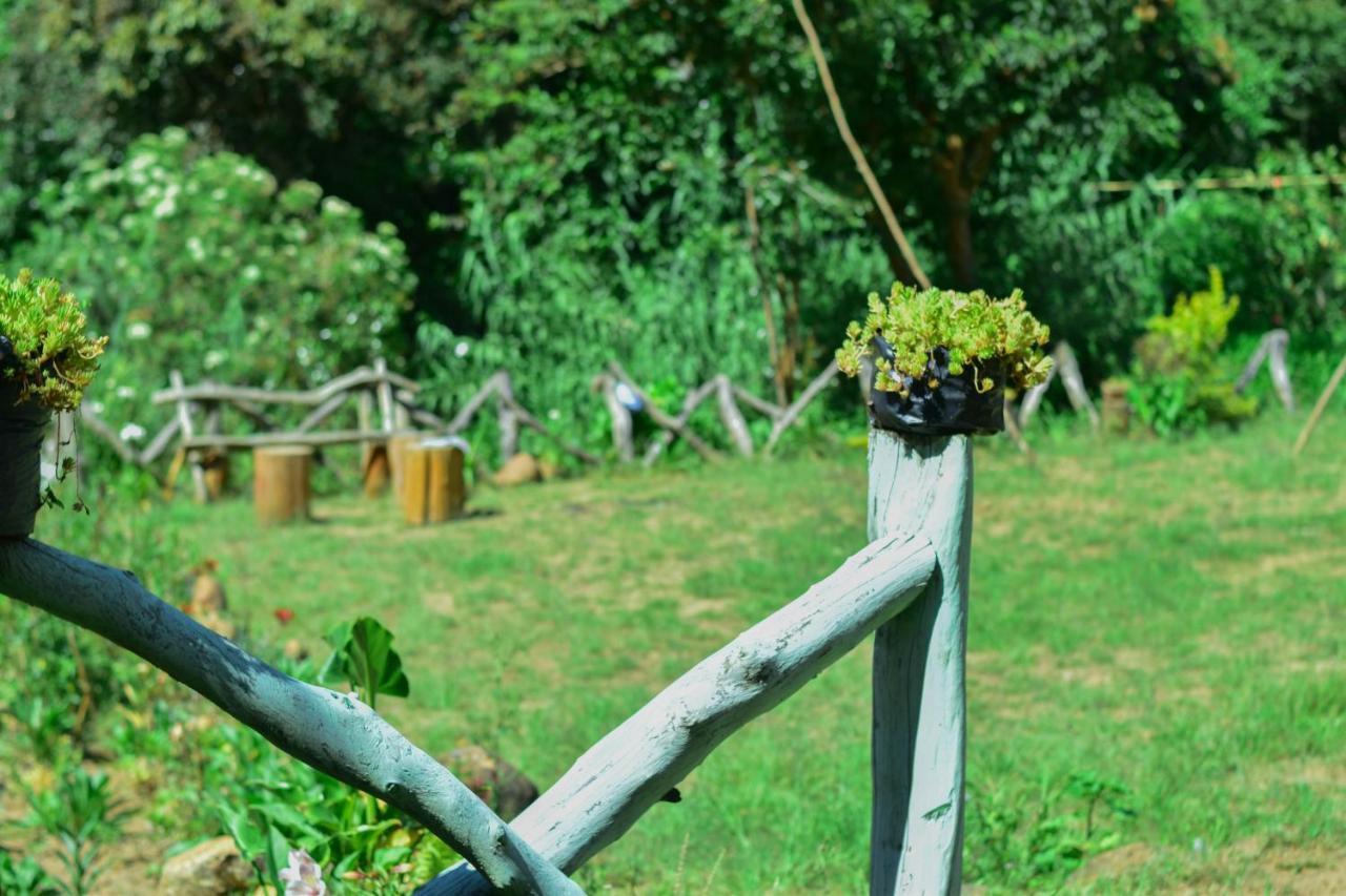 Ohiya Forest Lodge Dış mekan fotoğraf
