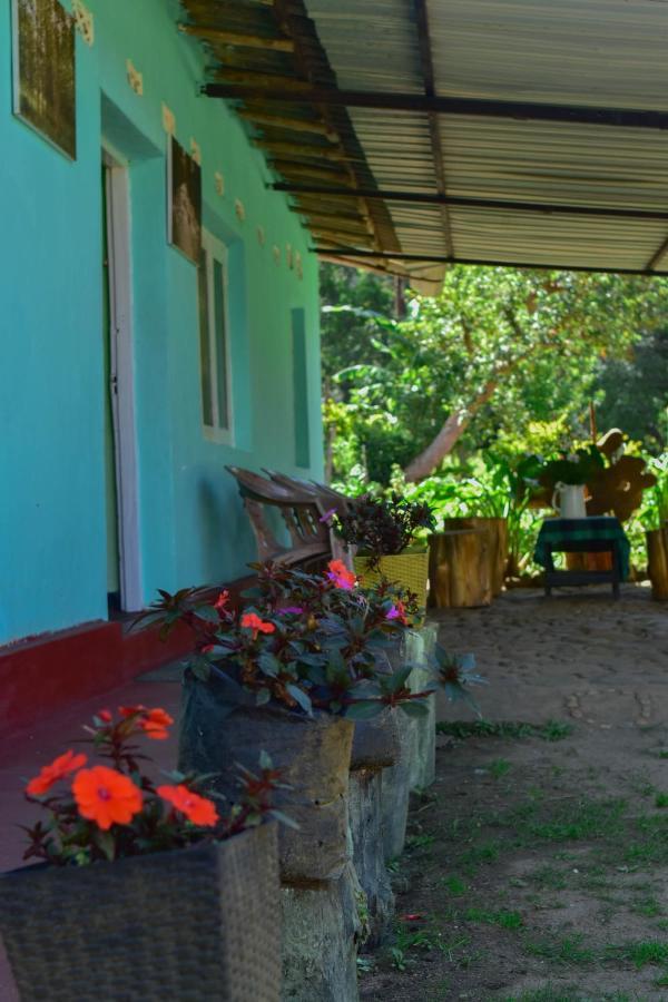 Ohiya Forest Lodge Dış mekan fotoğraf