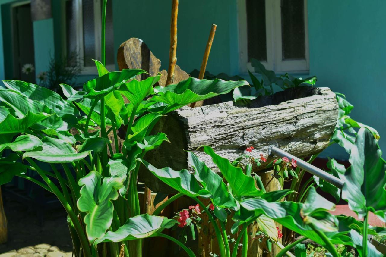 Ohiya Forest Lodge Dış mekan fotoğraf