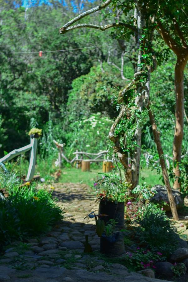 Ohiya Forest Lodge Dış mekan fotoğraf