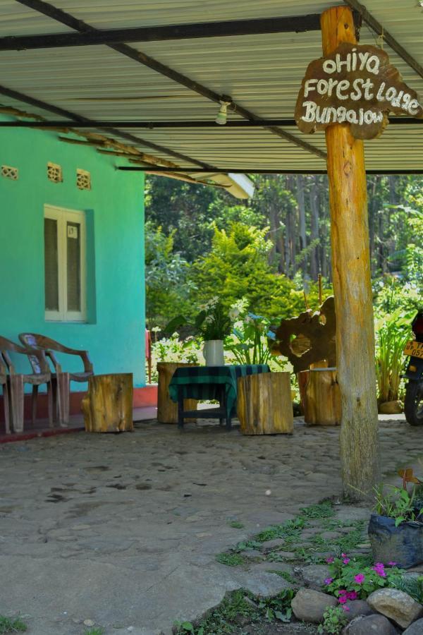 Ohiya Forest Lodge Dış mekan fotoğraf