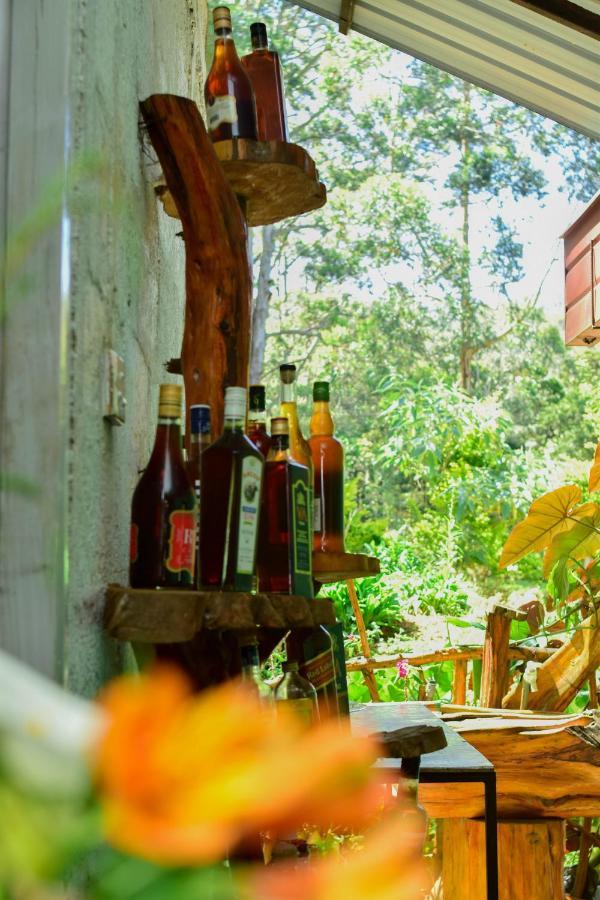 Ohiya Forest Lodge Dış mekan fotoğraf
