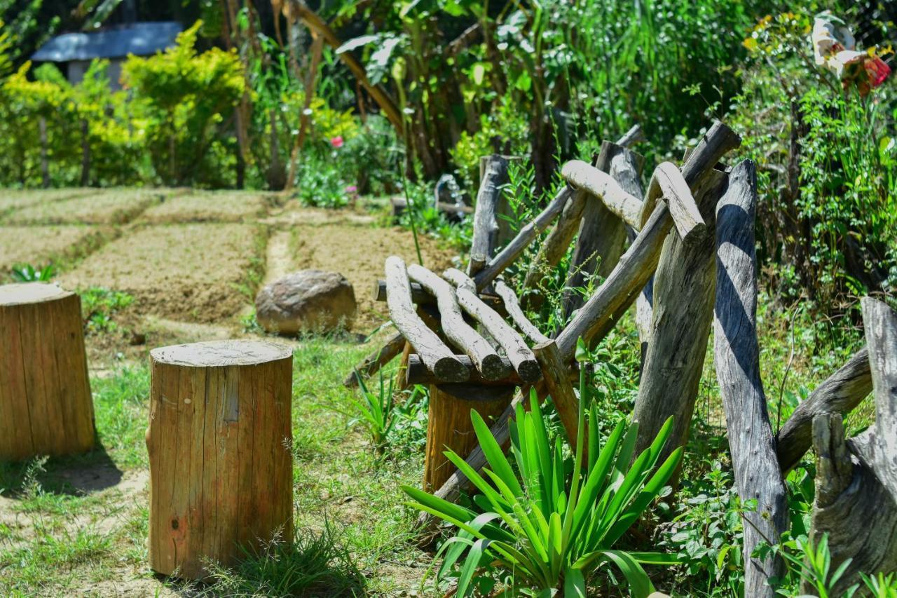 Ohiya Forest Lodge Dış mekan fotoğraf