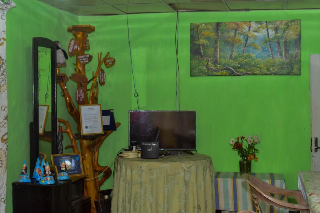 Ohiya Forest Lodge Dış mekan fotoğraf