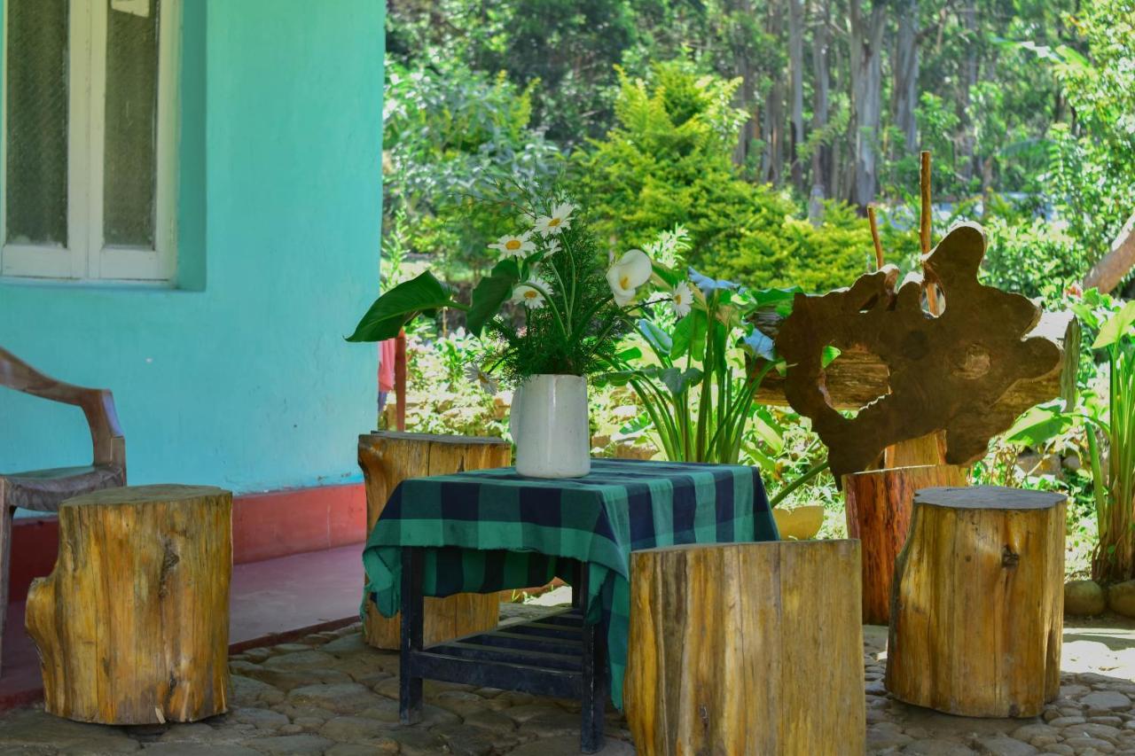 Ohiya Forest Lodge Dış mekan fotoğraf