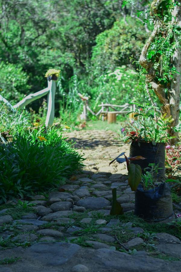 Ohiya Forest Lodge Dış mekan fotoğraf