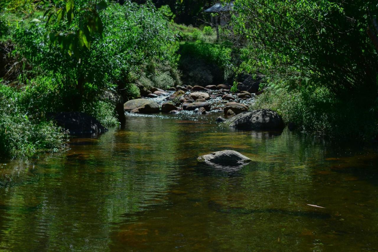 Ohiya Forest Lodge Dış mekan fotoğraf