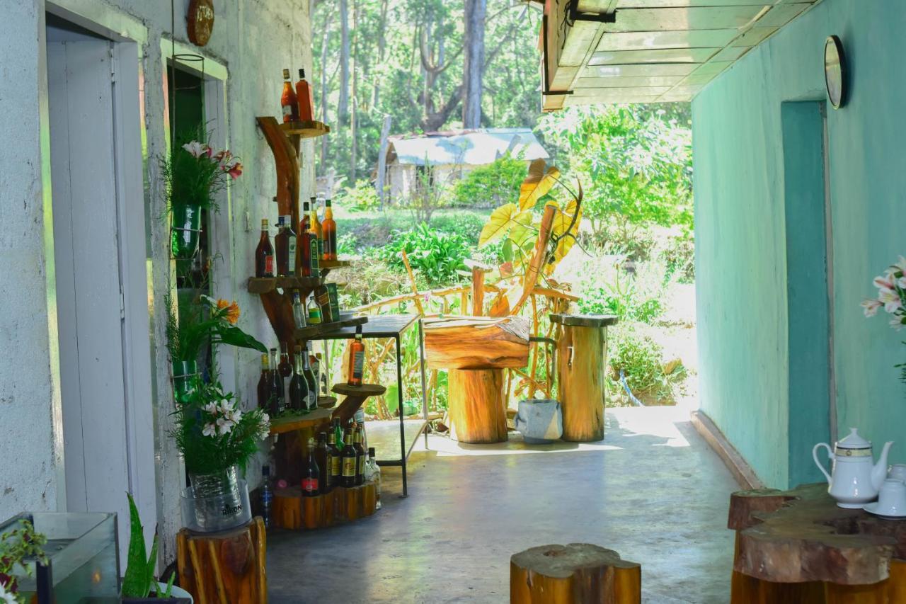 Ohiya Forest Lodge Dış mekan fotoğraf